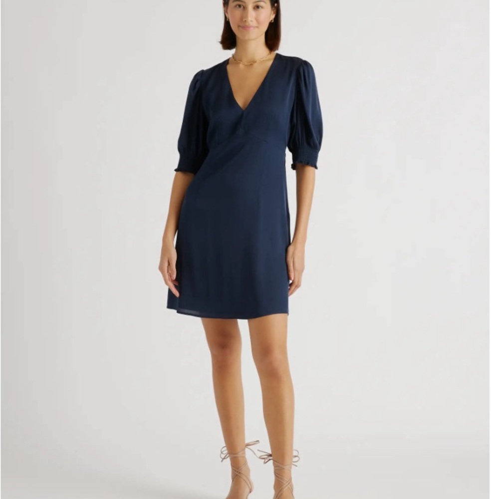 Washable Stretch Silk Puff Sleeve Mini Dress